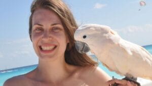 Goiana vítima de queda de avião em Ubatuba segue em estado grave
