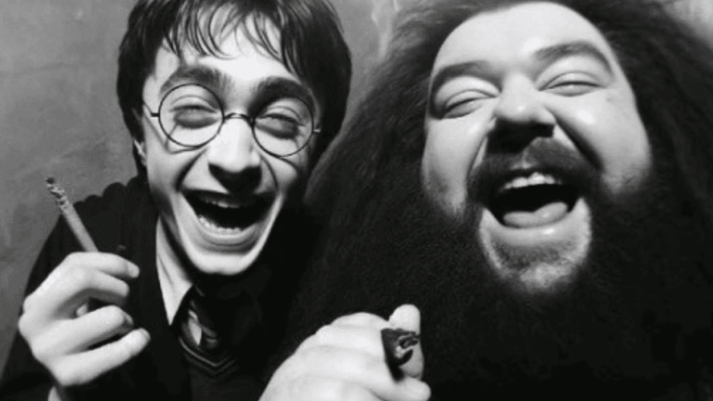 IA mostra como seria uma bebedeira em Hogwarts, escola de Harry Potter