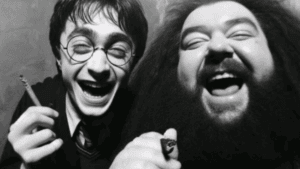 Harry Potter em inteligência artificial: bebedeira (Foto: IA)