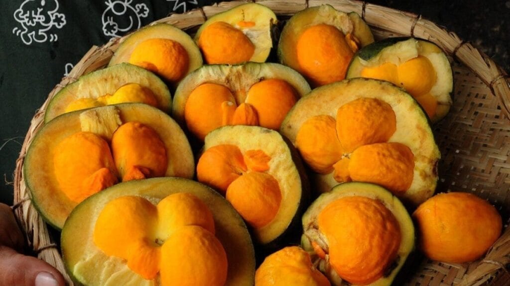 Lula sanciona lei que incentiva produção de pequi e proíbe derrubada predatória de árvores do Cerrado