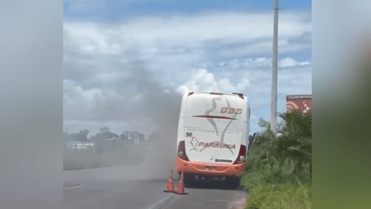 Ônibus que pegou fogo na saída de Caldas Novas, na manhã de segunda-feira (20) (Foto: Reprodução)