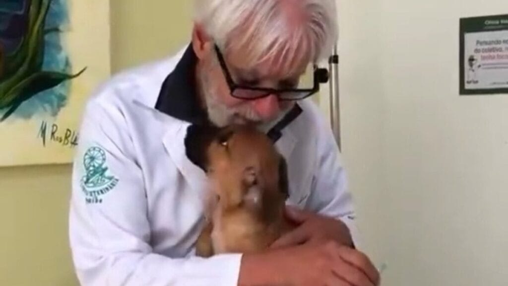 Vídeo de médico vacinando cachorro viraliza: veterinária por amor