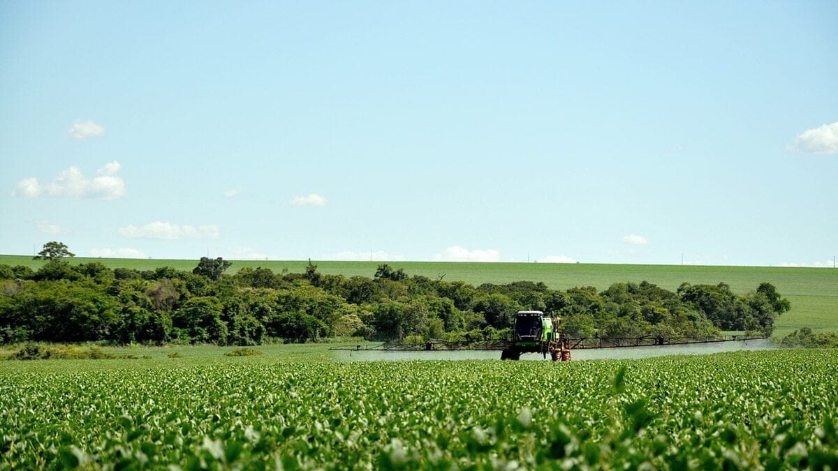 Brasil registra número recorde de agrotóxicos em 2024