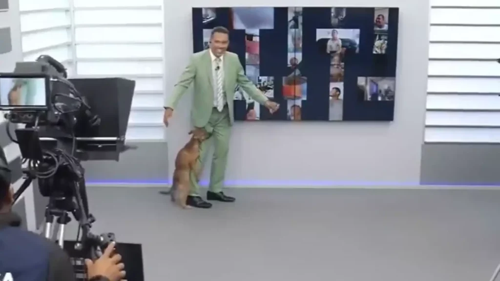 Cachorro invade jornal e tenta ‘cruzar’ com perna do apresentador