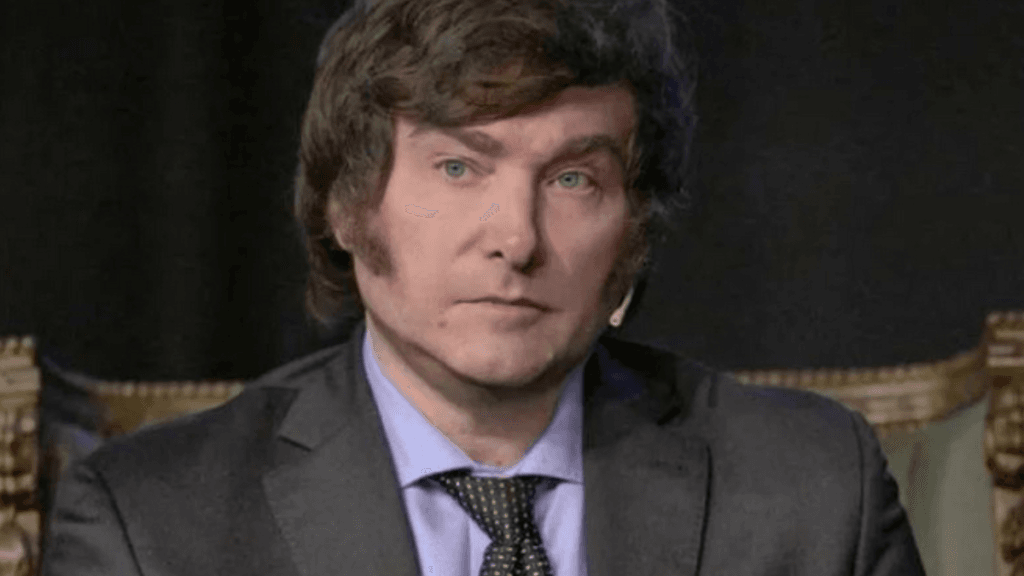 Milei endossa tese sem provas de bolsonaristas de que ONGs bancaram fraude eleitoral no Brasil