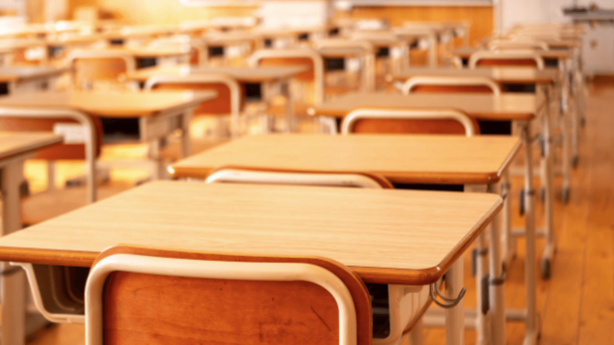 Censo mostrou retrato da formação educacional da população no Brasil (Foto: Pixabay)