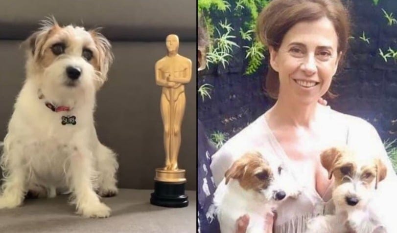 cães de Ainda Estou Aqui vencem prêmio de atuação