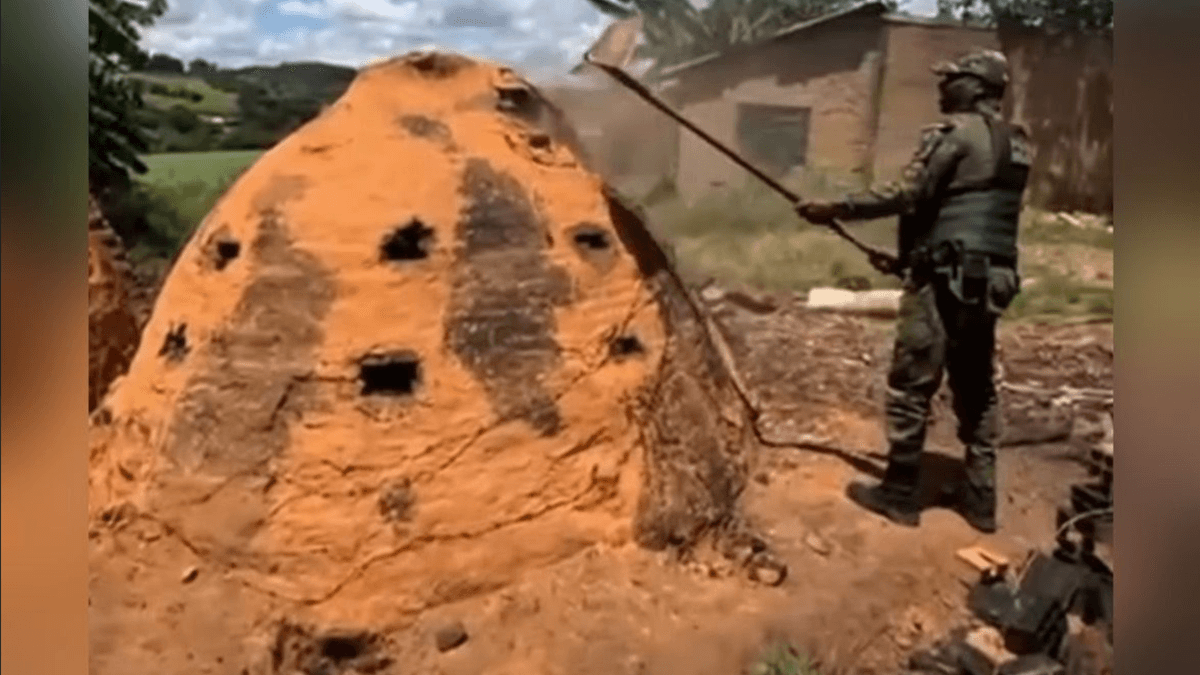 Policiais destruindo os fornos de produção de carvão vegetal (Foto: Reprodução)