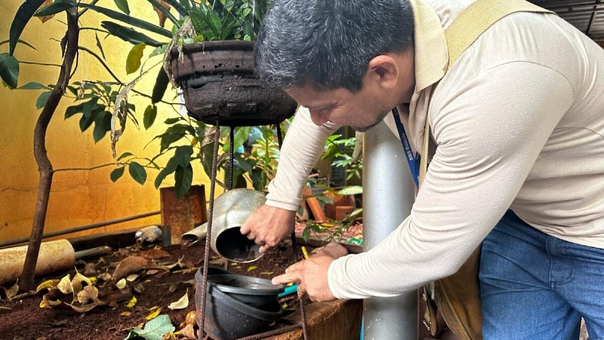 Casos de dengue reduziu mais de 25% em Goiânia, mas alerta continua