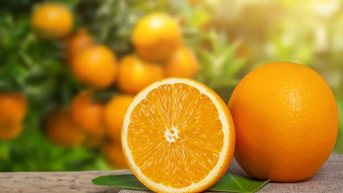 Comer uma laranja por dia pode reduzir o risco de depressão em 20%, diz estudo Pesquisadores de Harvard encontraram evidências