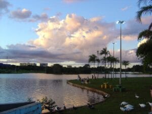 Lago do Parque da Cidade passará por operação de limpeza na segunda-feira (31)