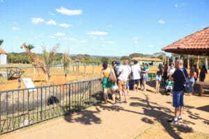 Vai de Graça: Confira linhas que atendem Jardim Botânico e Zoológico aos domingos
