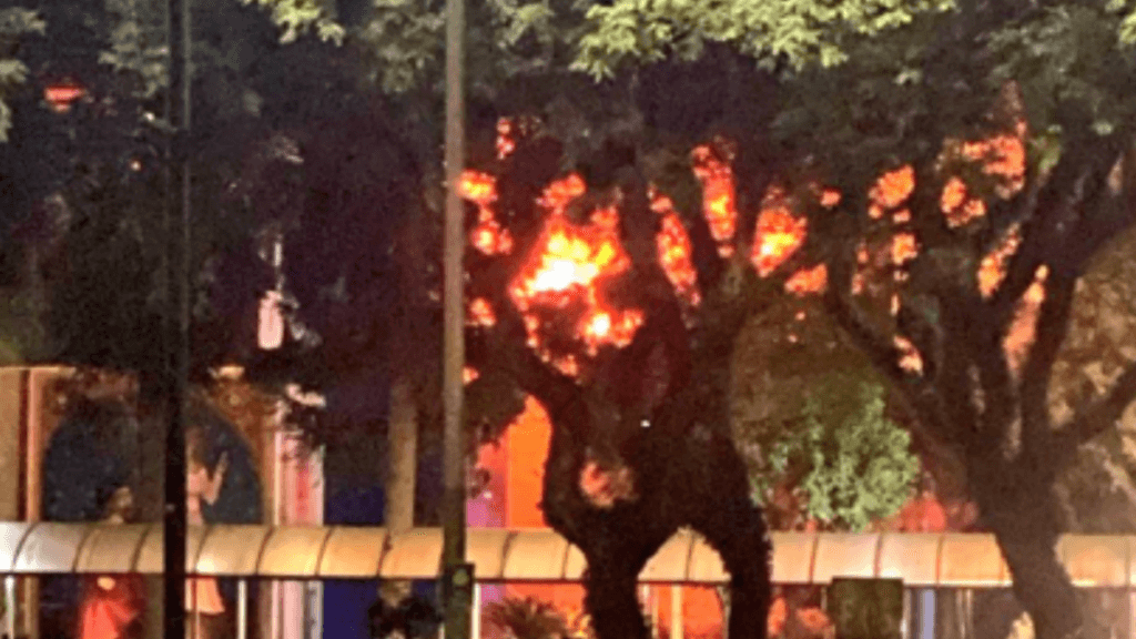 Incêndio de grandes proporções atinge a PUC-PR, em Curitiba; vídeo