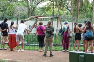 Lazer para Todos: Mais de 48 mil pessoas visitaram o Zoológico e o Jardim Botânico no feriadão de cinco dias