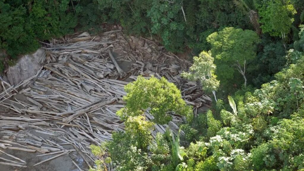 Mega-ação do Ibama contra desmatamento revolta ruralistas, e crise chega ao Planalto