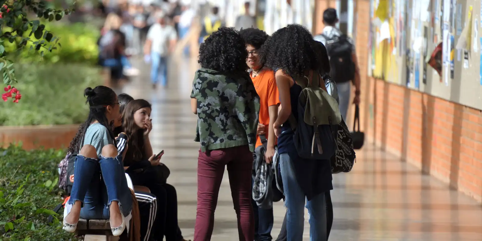 Ações afirmativas mudaram “cara da universidade no Brasil”, diz estudo