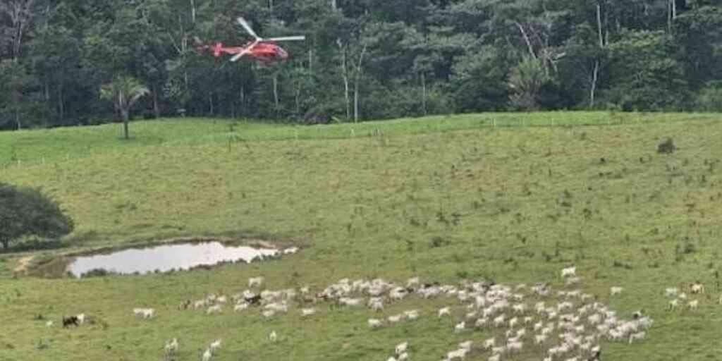 Agentes do ICMBio sofrem atentados em reserva no Acre