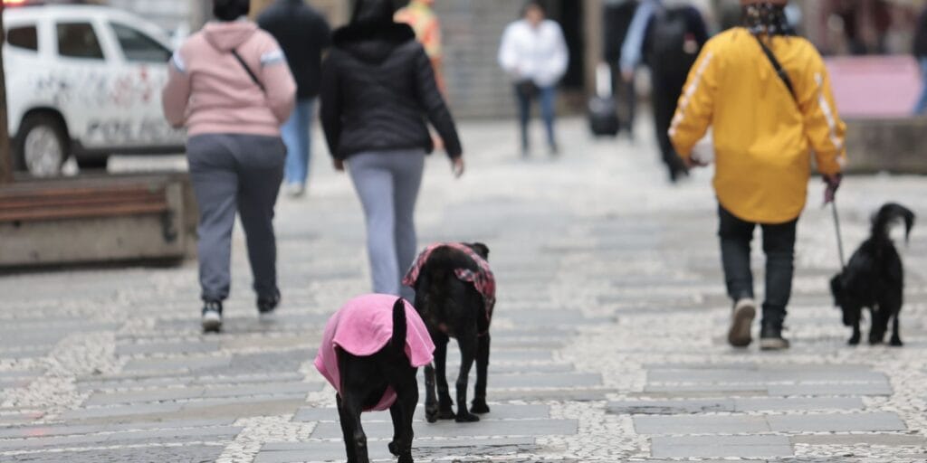 Parque Nacional do Itatiaia registra menor temperatura do ano: -9,4ºC