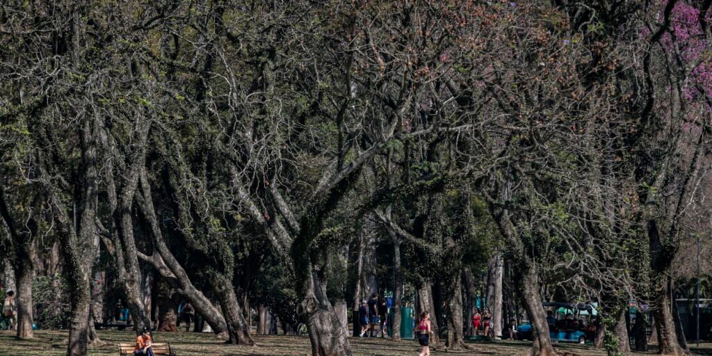 Cidade de São Paulo tem agosto mais seco desde 2020
