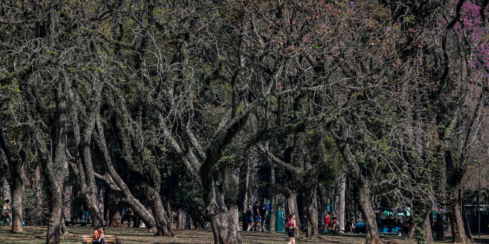 Cidade de São Paulo tem agosto mais seco desde 2020