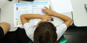Censo Escolar: resultado preliminar está disponível no site do Inep