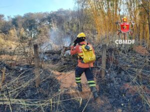Bombeiros combatem incêndio em vegetação na L4 Norte, próximo à UnB