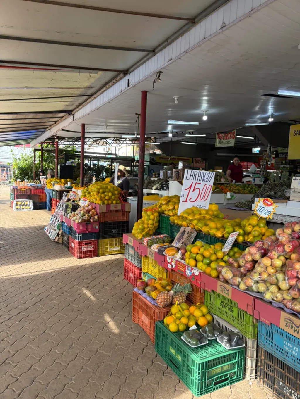 Feira de Planaltina une frescor, agricultura familiar e preços baixos no DF