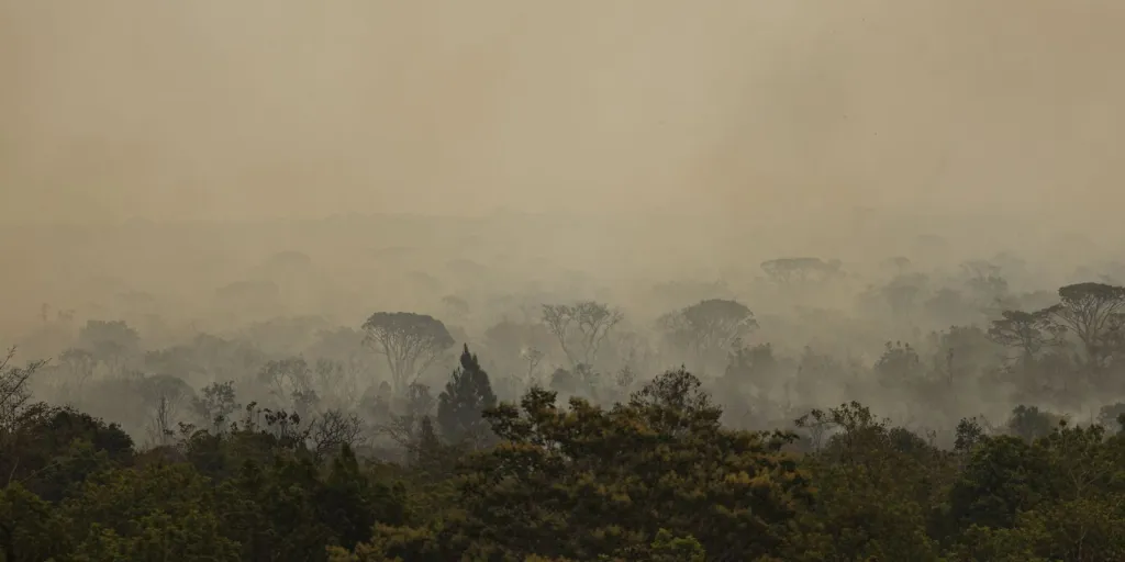 Força Nacional do SUS apoia atendimentos no Amazonas após incêndios