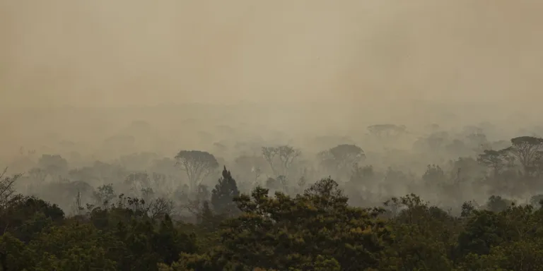 Força Nacional do SUS apoia atendimentos no Amazonas após incêndios