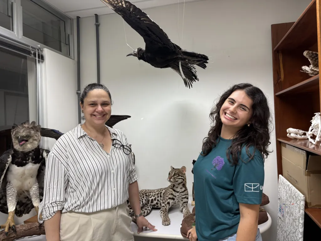 Museu de Biologia da UnB promove evento temático de Halloween neste sábado