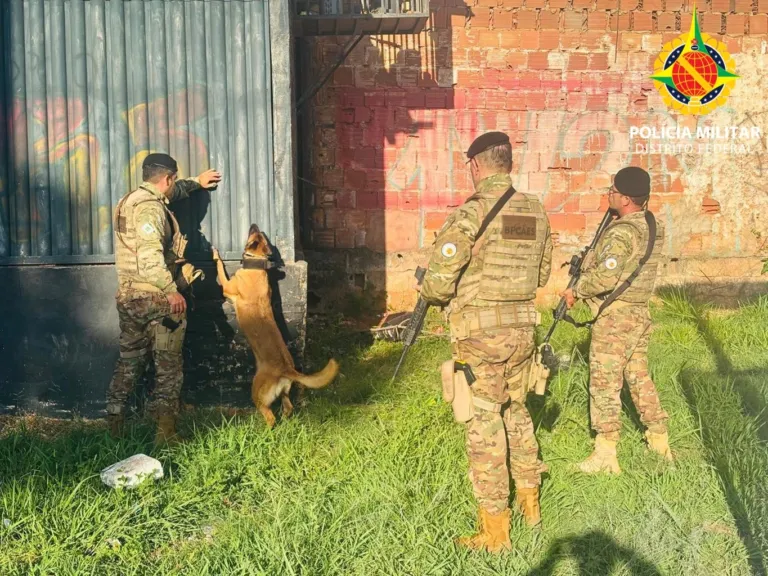 Operação em Ceilândia desmonta 11 estruturas precárias e atende pessoas em situação de rua